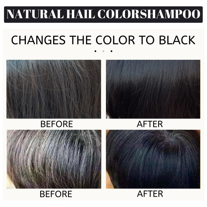 100ml Black Dye Shampoo Herbal Hair Coloring Treatment