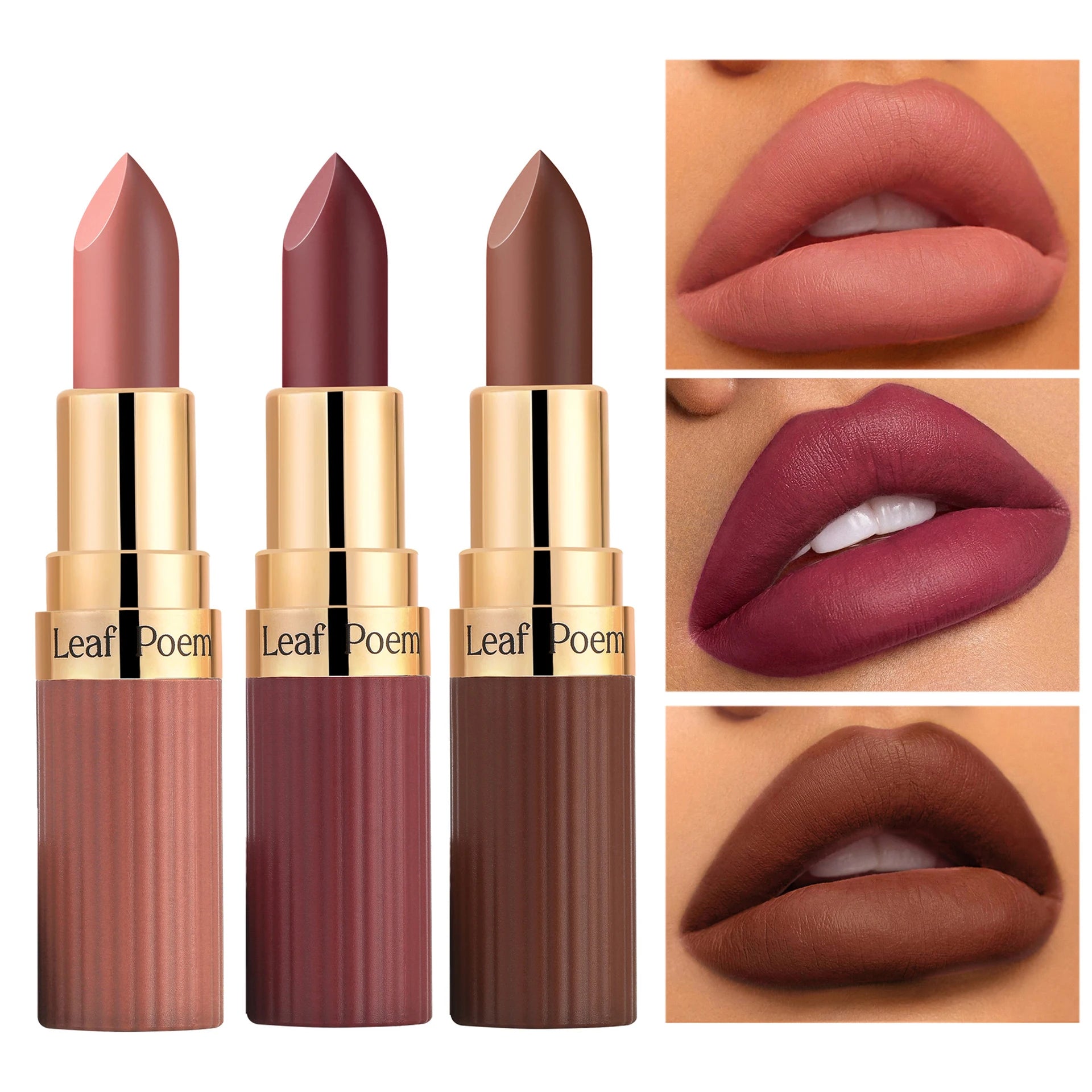6-Color Matte Velvet Lipstick Set Waterproof Long-Lasting Makeup